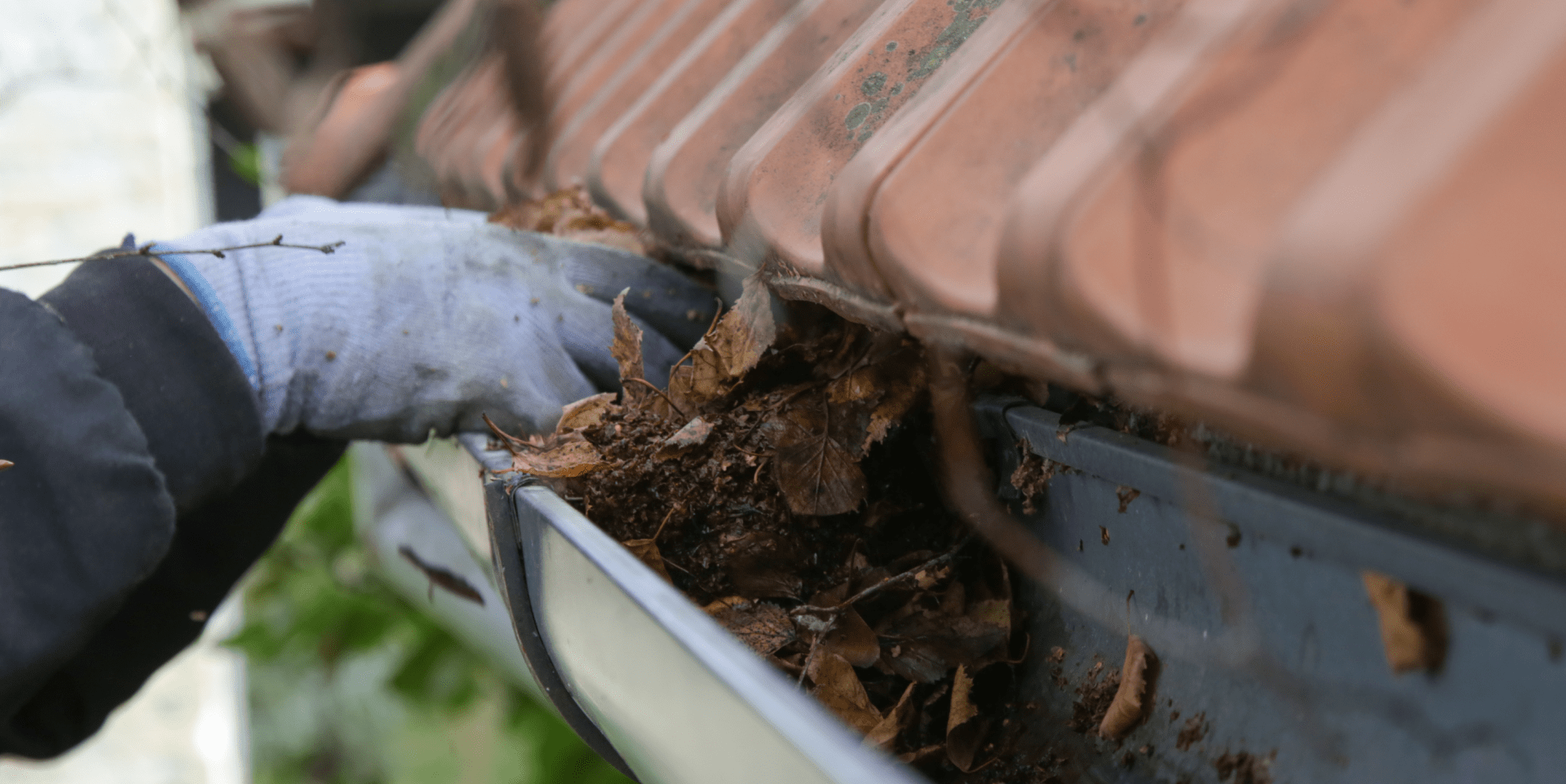 Gutter cleaning of dirt with brown dried leaves